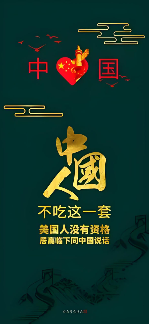 新片预告